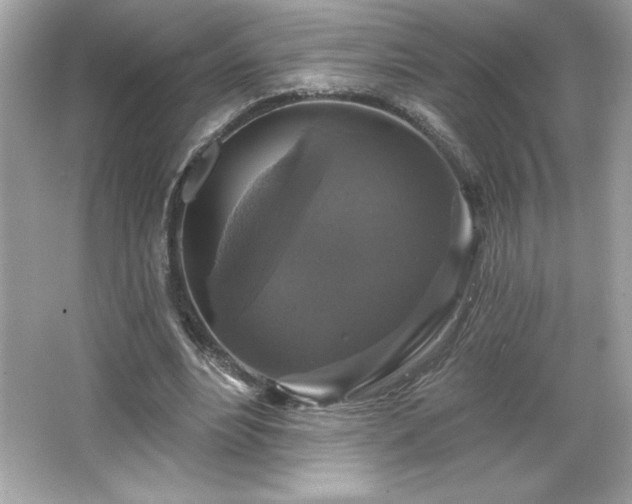 X0000066490488200603201301