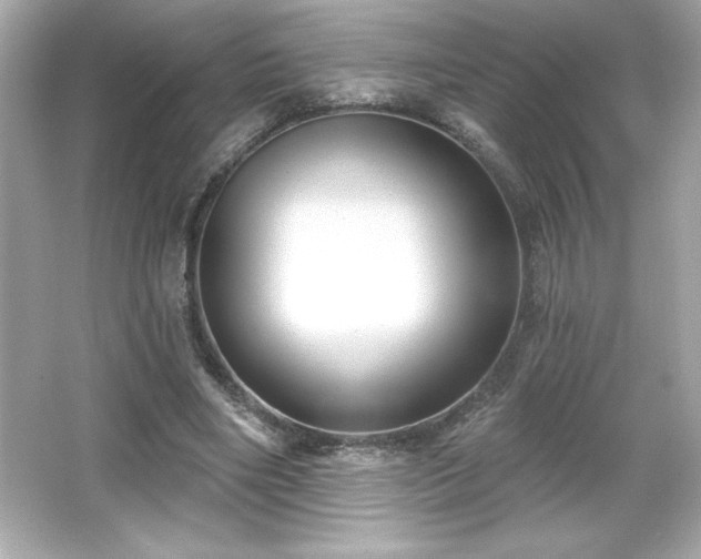 X0000066490490200603201301