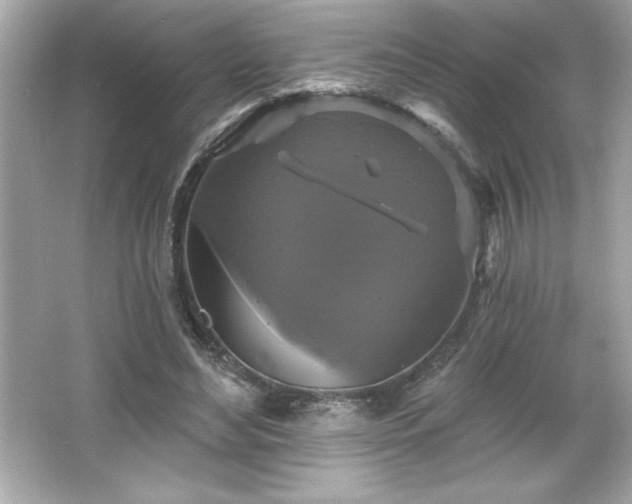 X0000066490492200603201301