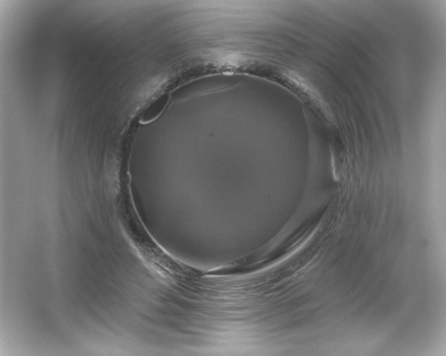 X0000066490496200603201301