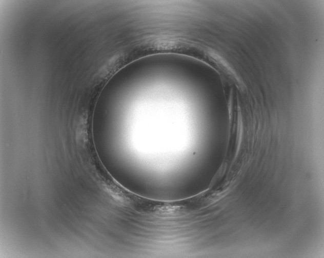 X0000066490497200603201301