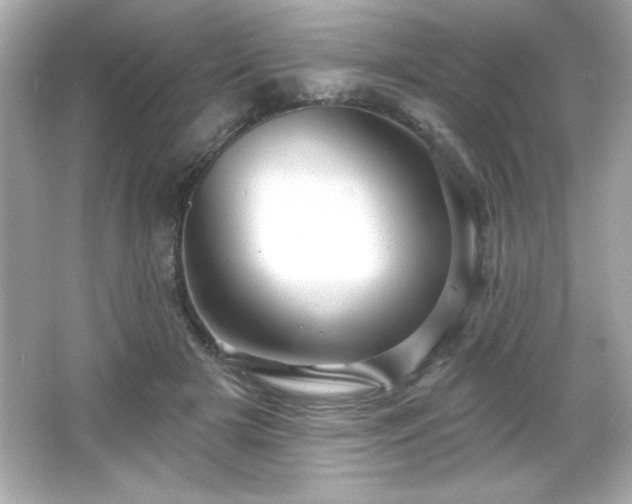 X0000066490505200603201300
