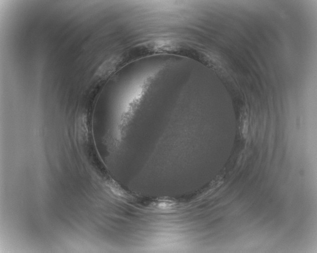 X0000066490506200603201300