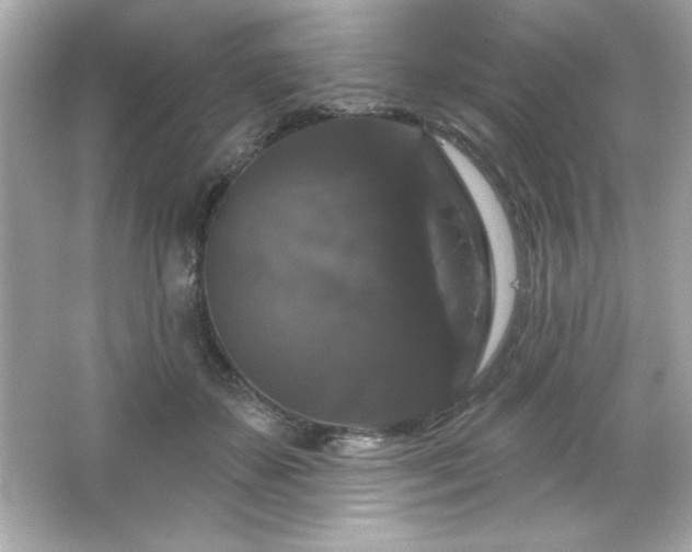 X0000066490507200603201300