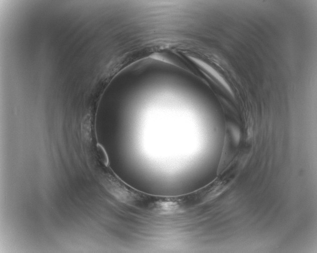X0000066490509200603201300
