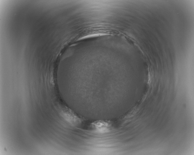 X0000066490512200603201300
