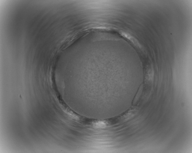 X0000066490513200603201300