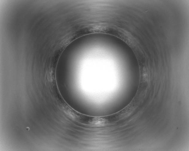 X0000066490514200603201300