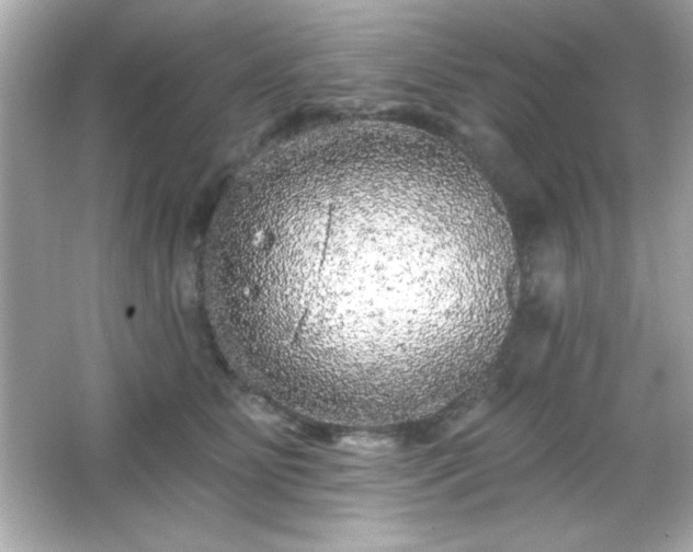 X0000066490515200603201300