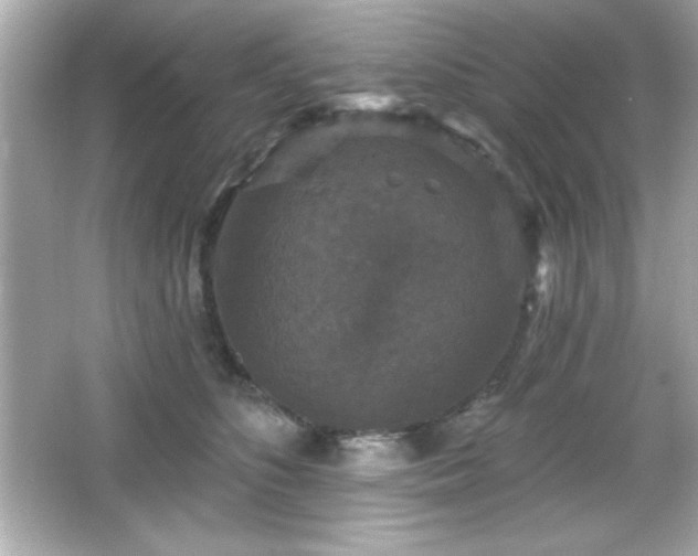 X0000066490516200603201300