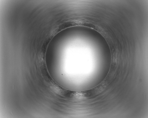 X0000066490518200603201300