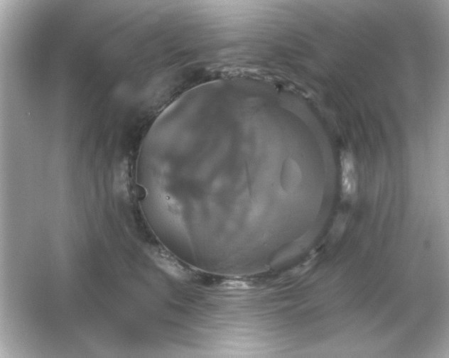 X0000066490519200603201300