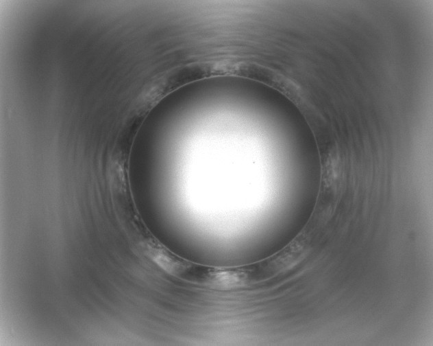 X0000066490522200603201300