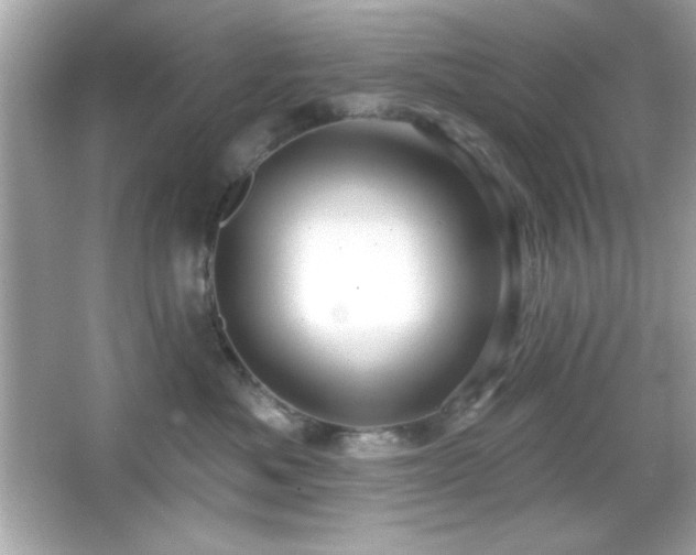 X0000066490525200603201300
