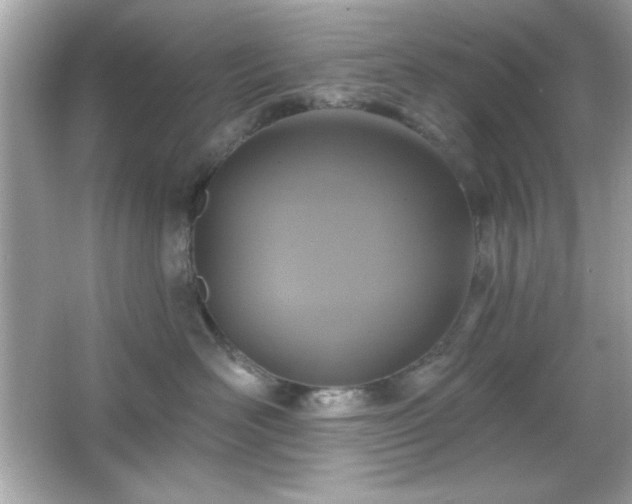 X0000066490526200603201300