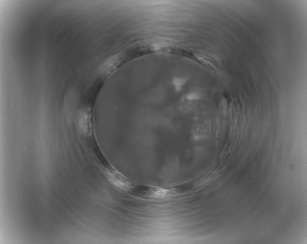 X0000066490527200603201300