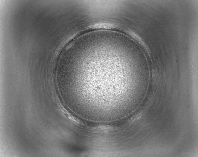 X0000066490529200603201259