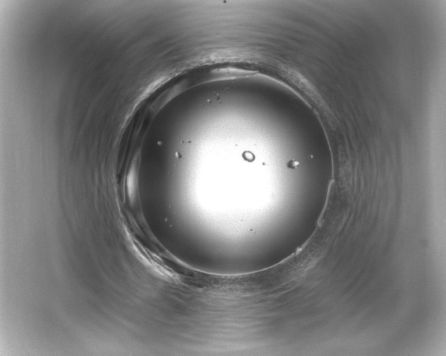 X0000066490530200603201259