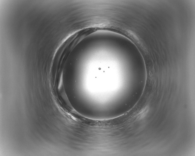 X0000066490532200603201259