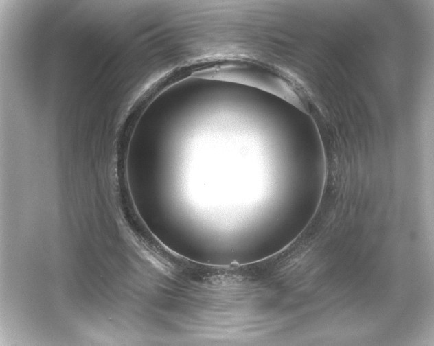 X0000066490535200603201259