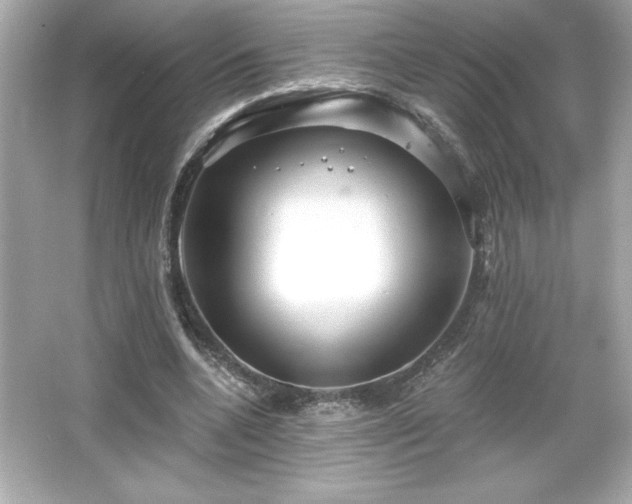 X0000066490536200603201259