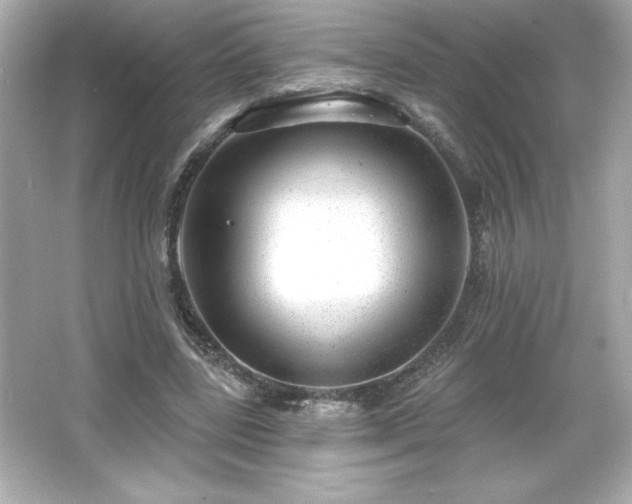 X0000066490539200603201259