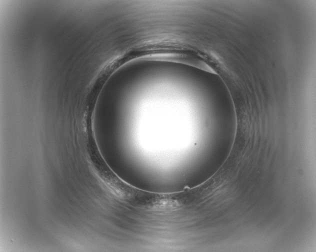 X0000066490543200603201259