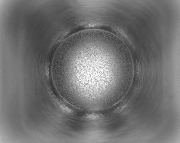 X0000066490545200603201259