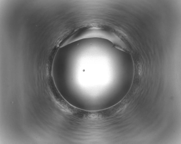 X0000066490546200603201259