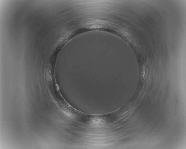 X0000066490547200603201300