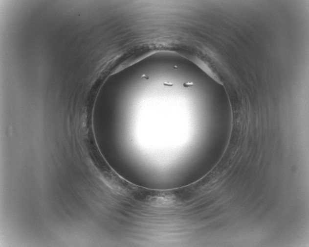 X0000066490548200603201300