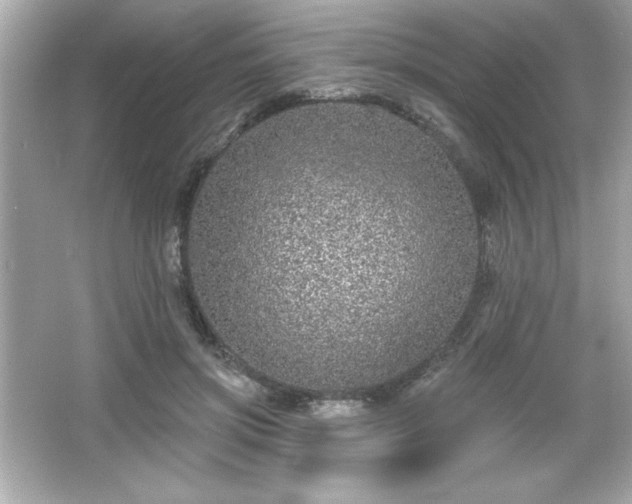 X0000066490549200603201300