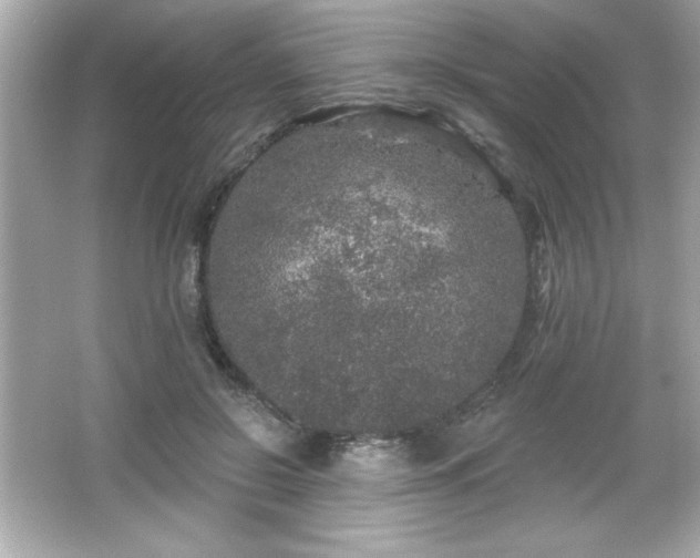 X0000066490550200603201300