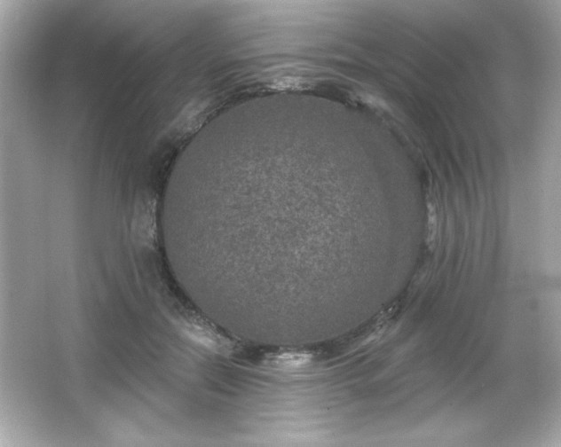 X0000066490554200603201300