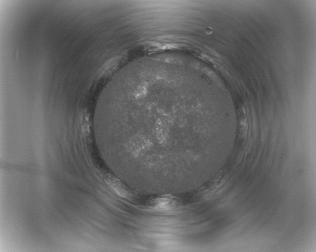 X0000066490555200603201300