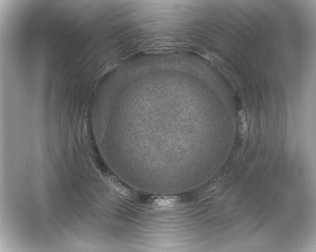 X0000066490560200603201300