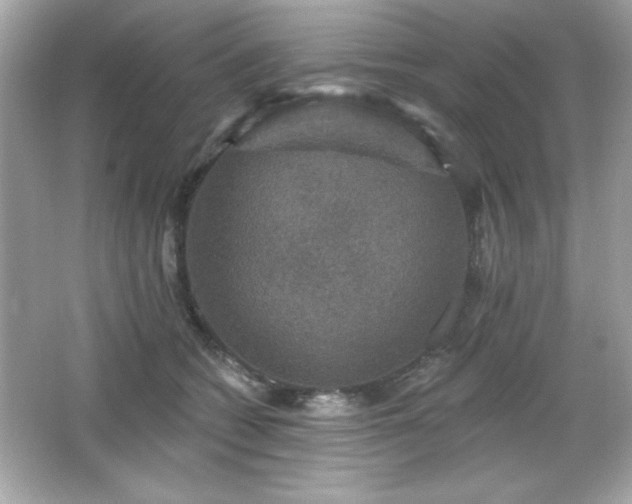 X0000066490562200603201300