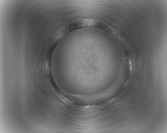 X0000066490564200603201300