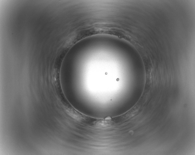 X0000066490567200603201300