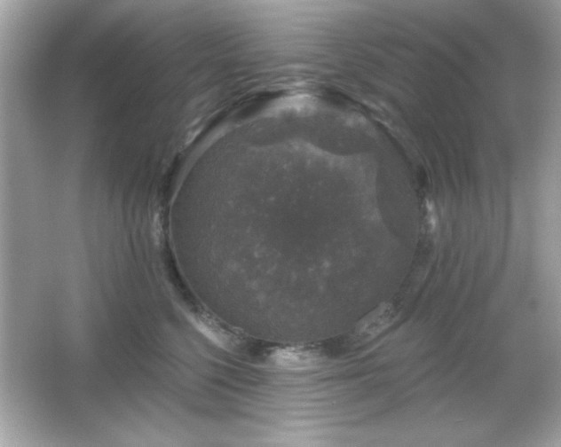 X0000066490568200603201300