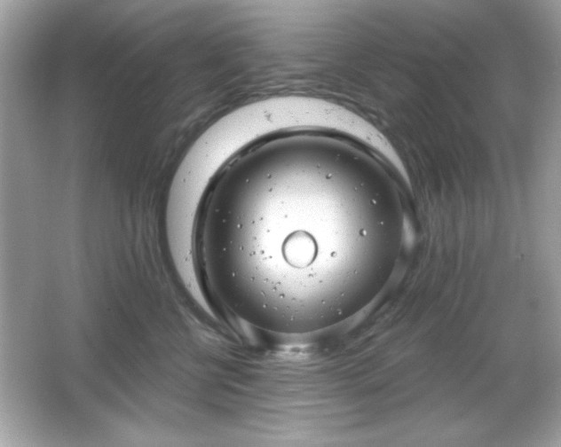 X0000066490570200603201300