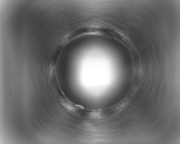 X0000066490574200603201300