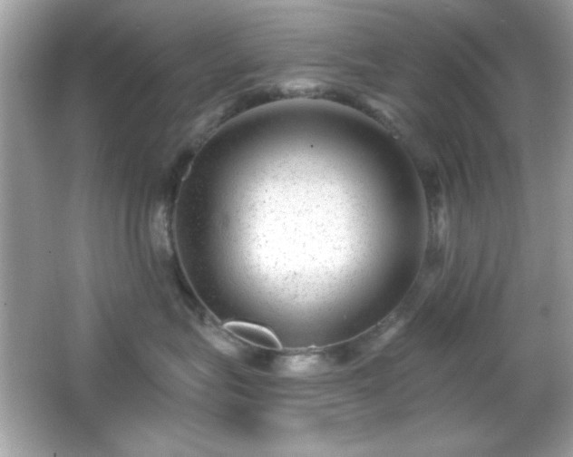 X0000066490575200603201300