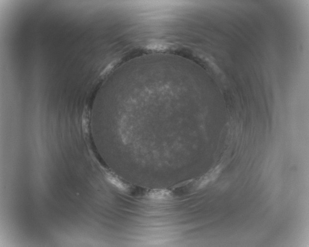 X0000066490576200603201300