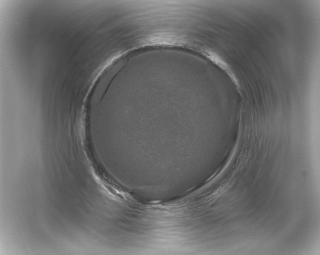 X0000066490580200603201259