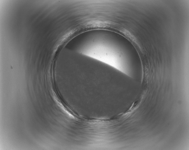 X0000066490581200603201259