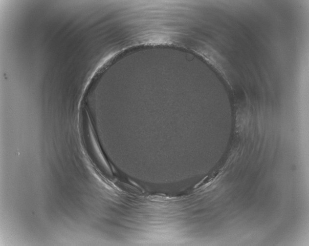 X0000066490584200603201259