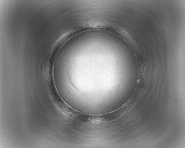 X0000066490587200603201259
