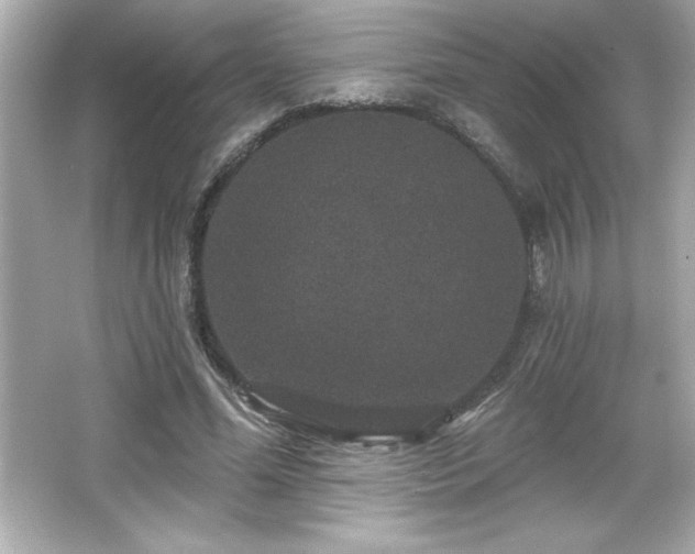 X0000066490588200603201259