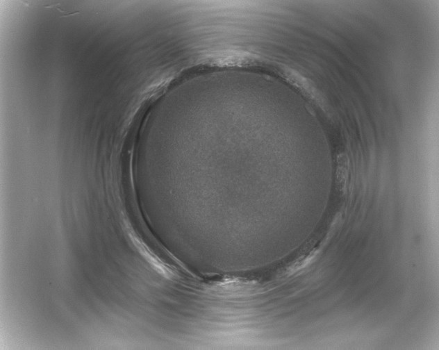 X0000066490589200603201259